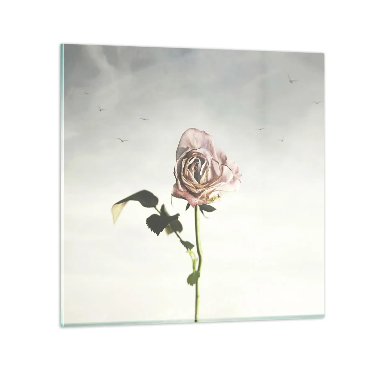 Glastavla - Bild på glas - Vårens välkomst - 70x70 cm