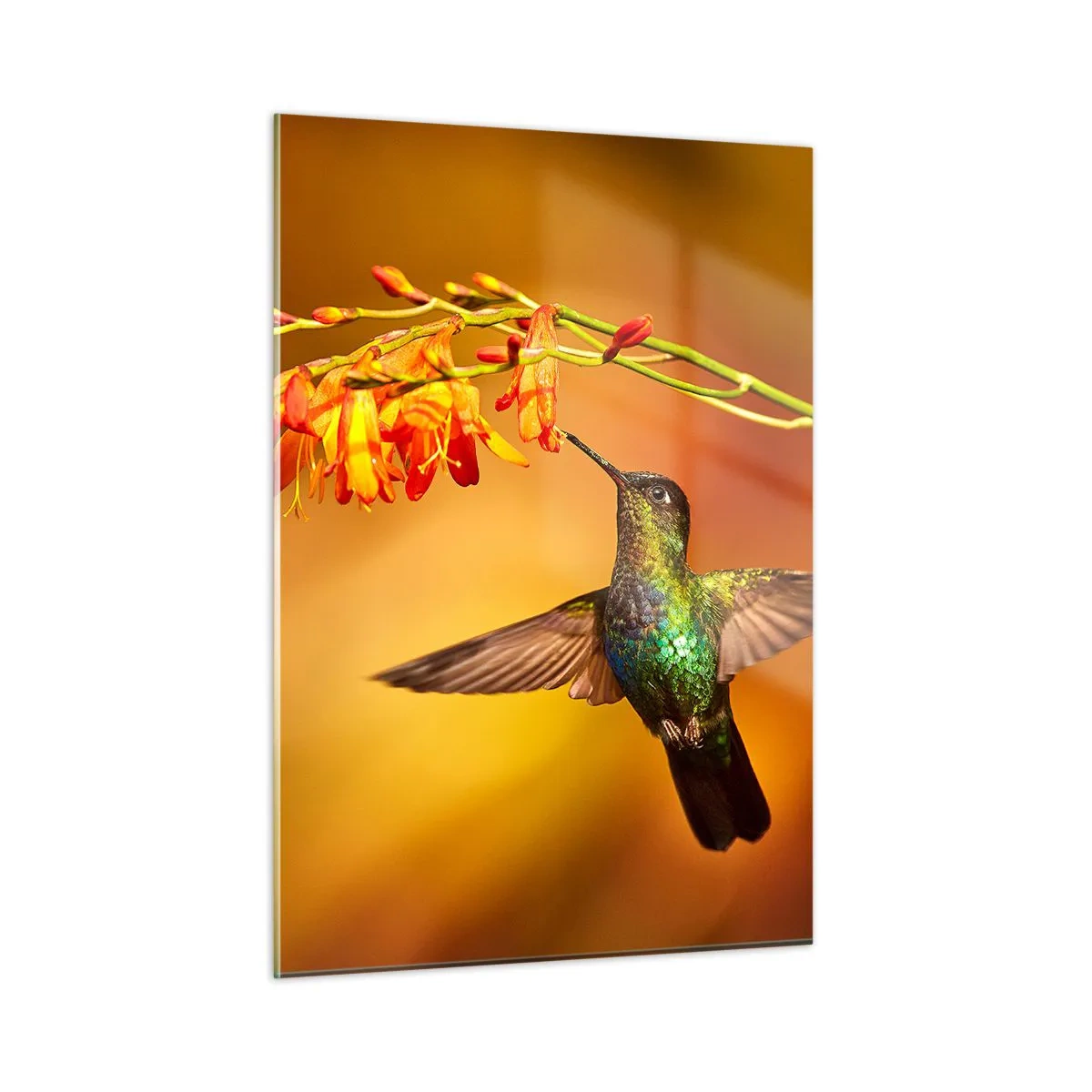 Glastavla - Bild på glas - Ljusbud enligt Mayafolket - 50x70 cm