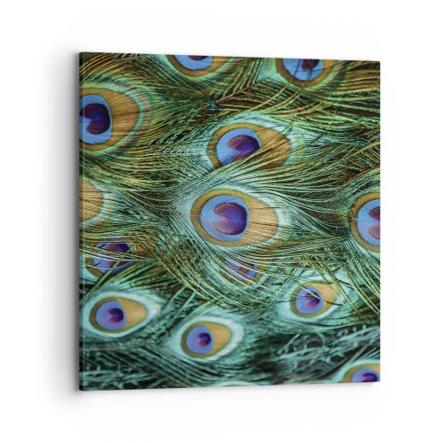Canvastavla - Bild på duk - Påfågels blick - 70x70 cm