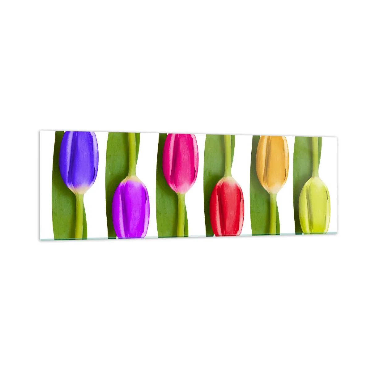 Glastavla - Bild på glas - Regnbågskomposition - 160x50 cm
