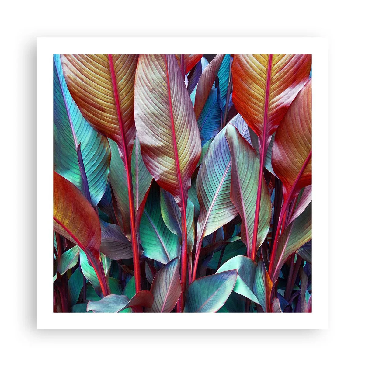 Affisch - En färgglad tätskog - 60x60 cm