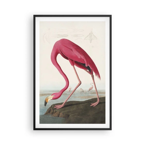 Affisch i svart ram - Underlig varelse - 61x91 cm