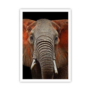 Affisch - Jag är vild, och du? - 70x100 cm