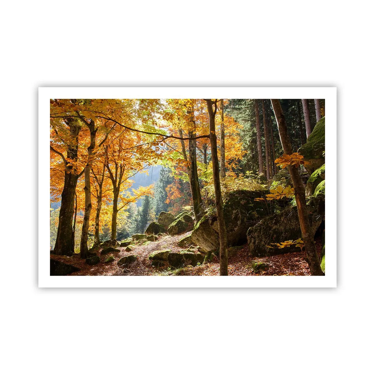 Affisch - Dags att vila - 91x61 cm