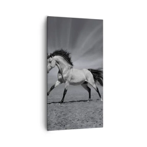 Canvastavla - Bild på duk - Född för att förtjusa - 55x100 cm