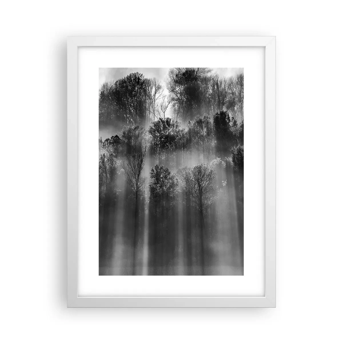 Affisch i vit ram - I ljusstrålar - 30x40 cm