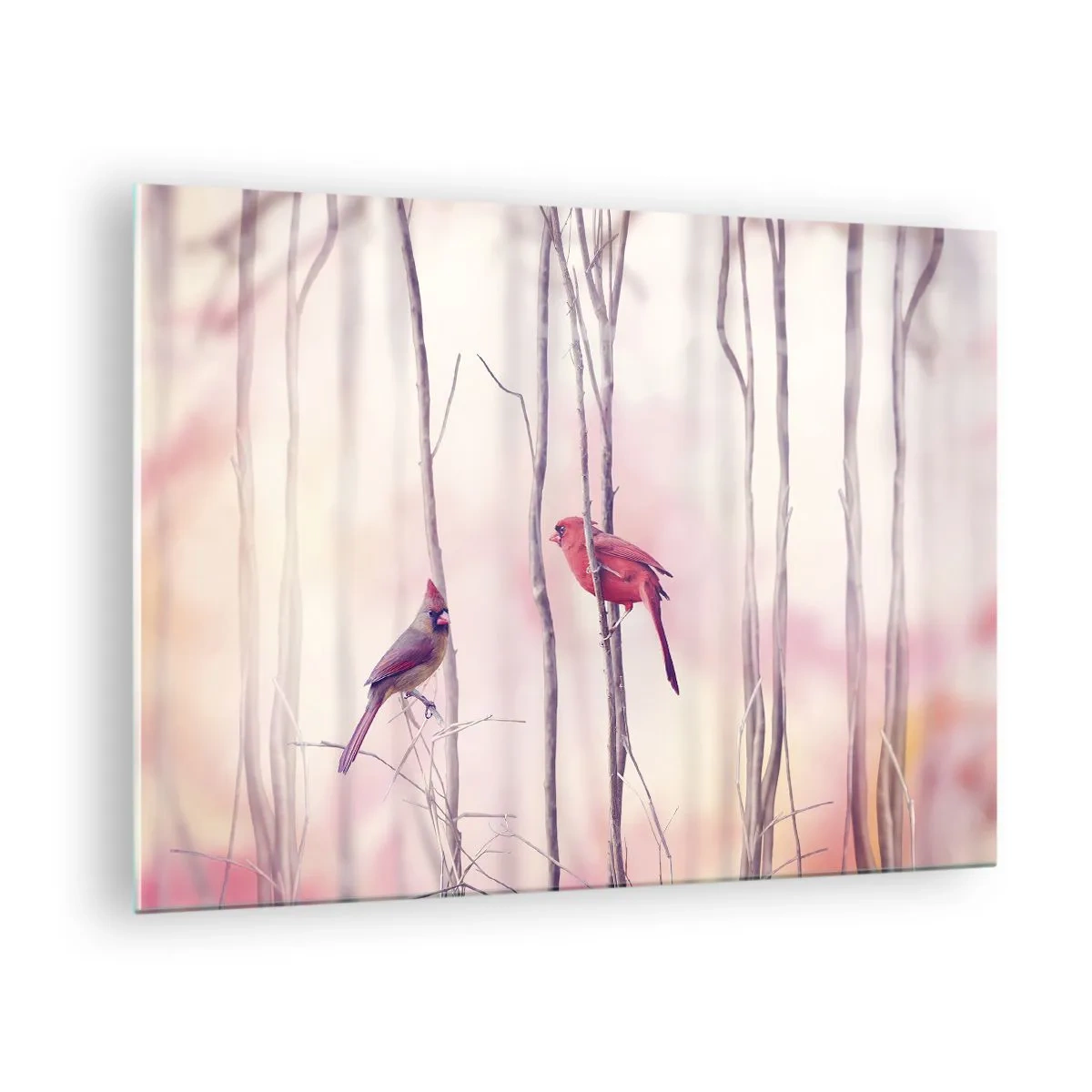 Glastavla - Bild på glas - Två fåglar bland fina kvistar i pastellfärger - 70x50cm - Rosa skogens saga - Modern väggdekoration för vardagsrum och sovrum ARTTOR