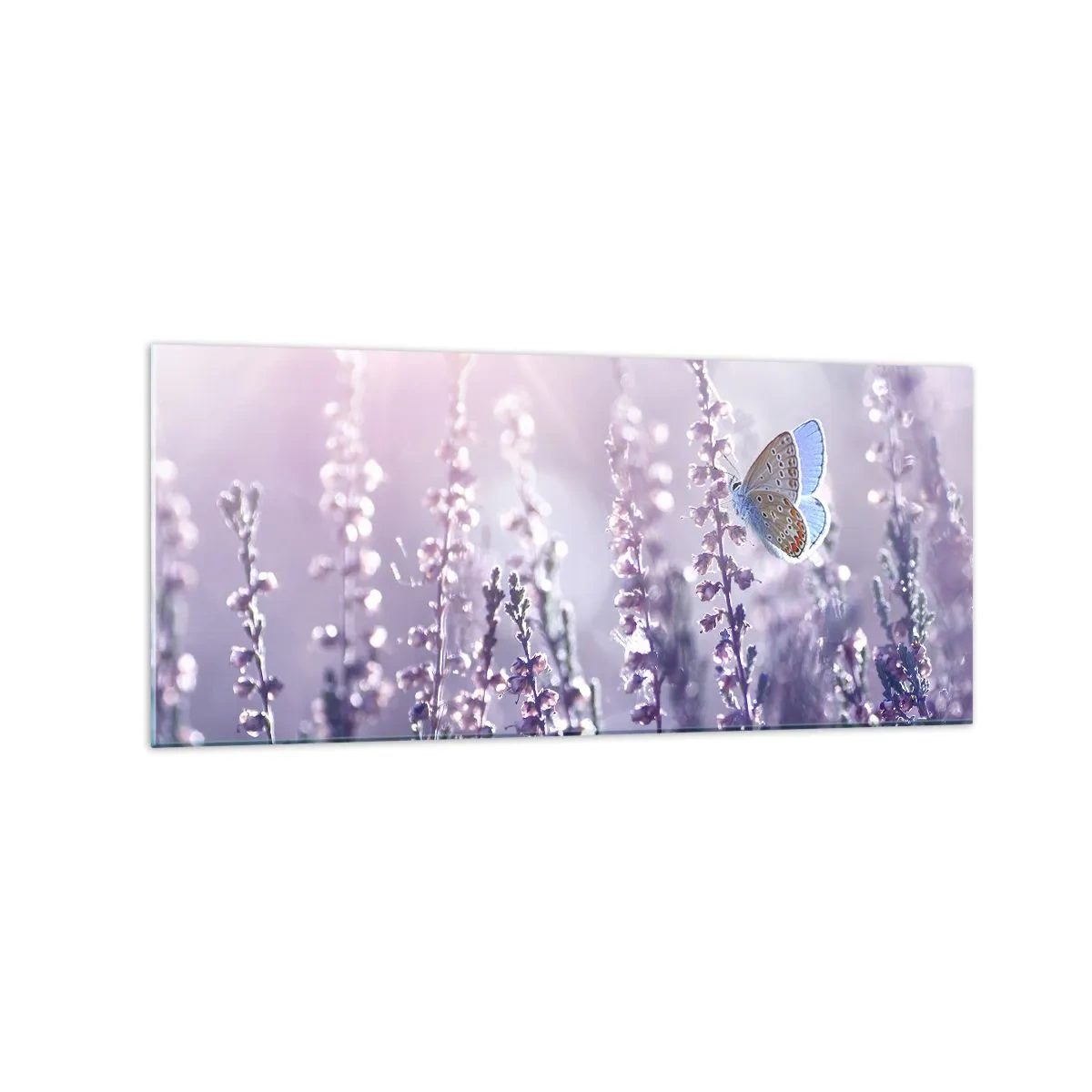 Glastavla - Bild på glas - En fjärils kyss - 120x50 cm