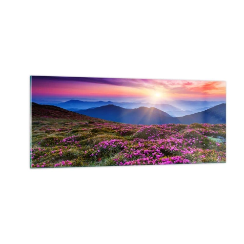 Glastavla - Bild på glas - Doftande örter - 100x40 cm