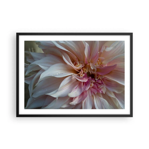 Affisch i svart ram - Blommande friskhet - 70x50 cm