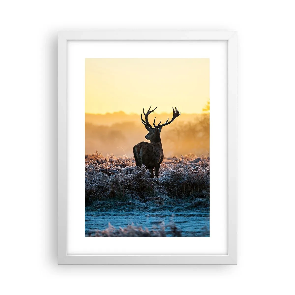 Affisch i vit ram - Krönt på sin mark - 30x40 cm
