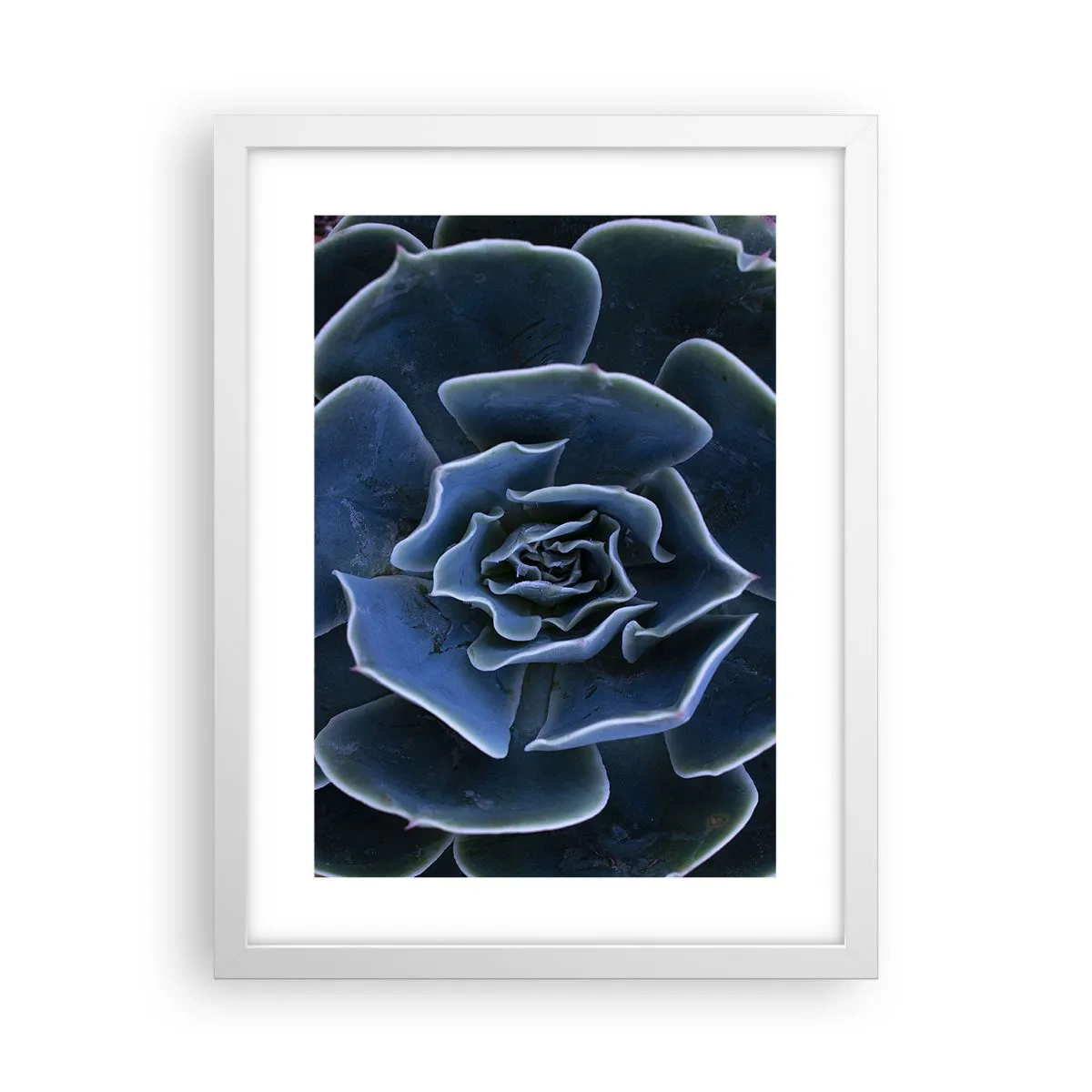Affisch i vit ram - Öknens blomma - 30x40 cm