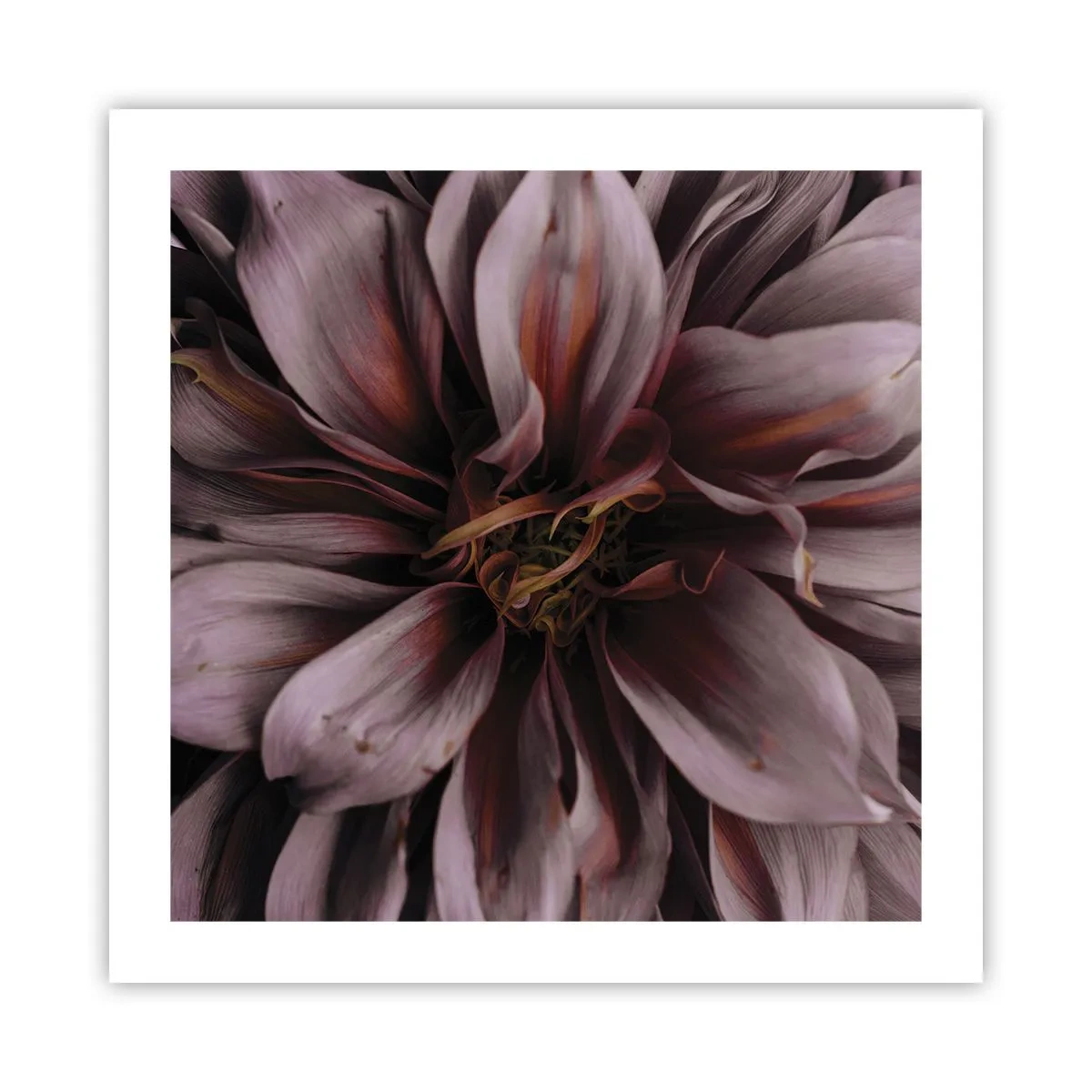 Affisch - Blommigt hjärta - 50x50 cm