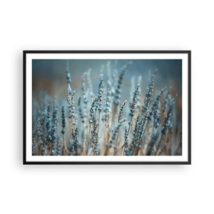 Affisch i svart ram - Doftande åkermark - 91x61 cm