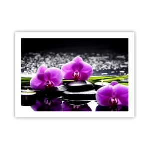 Affisch - Drunkna i tystnad och lugn - 70x50 cm