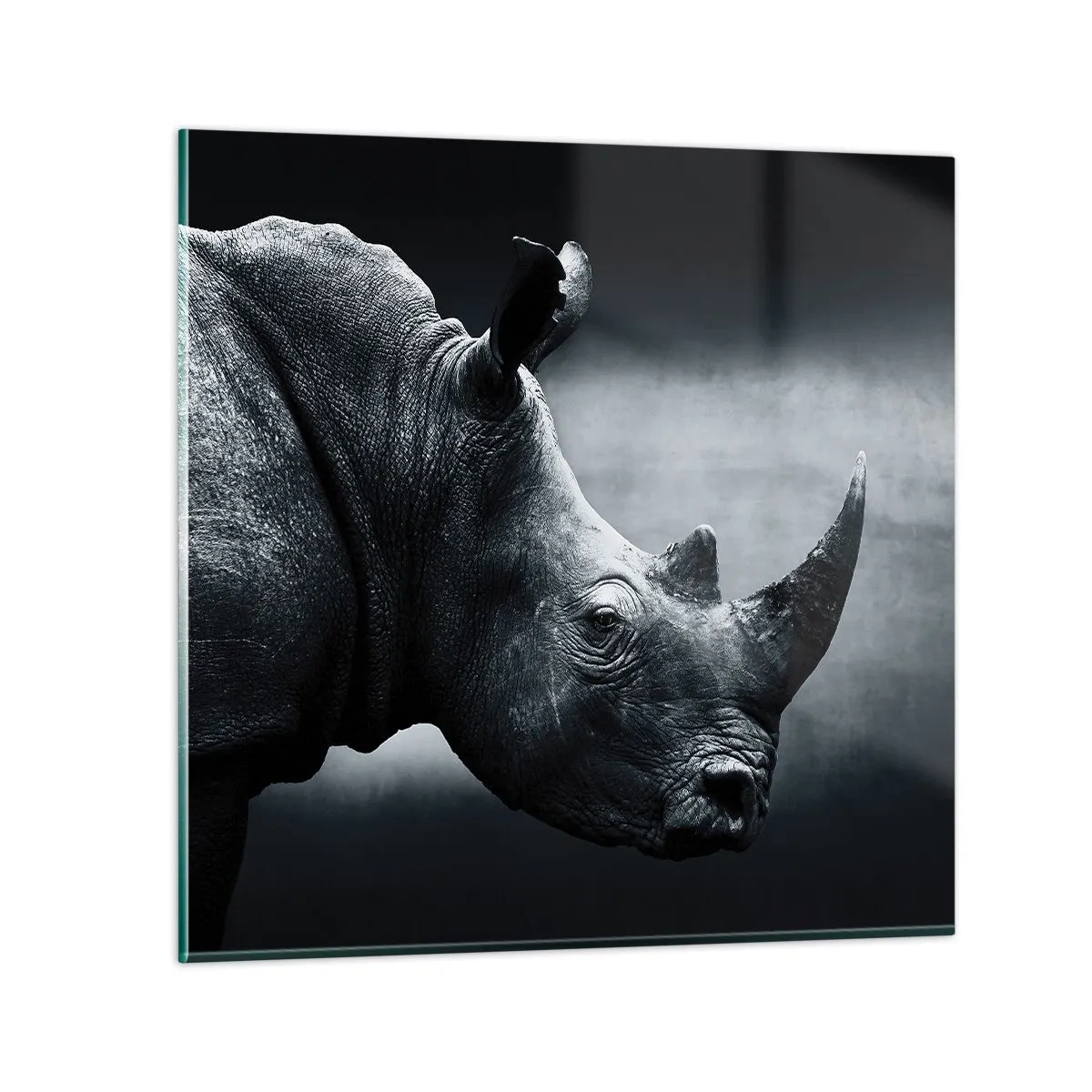 Glastavla - Bild på glas - Höger profil - 70x70 cm