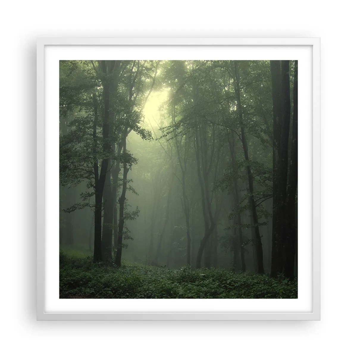Affisch i vit ram - Innan skogen vaknar - 60x60 cm