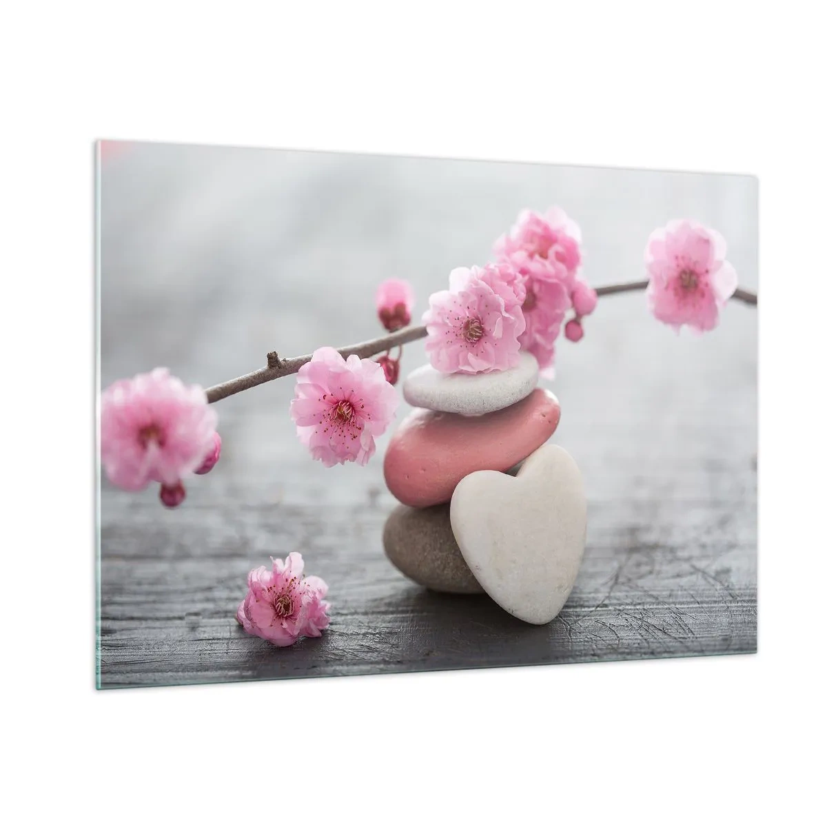 Glastavla - Bild på glas - Salighet med körsbärsblomma - 100x70 cm