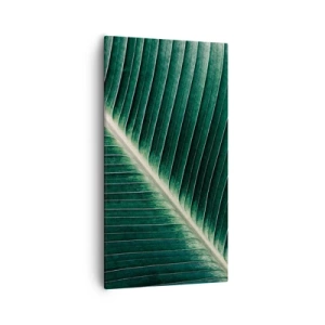 Canvastavla - Bild på duk - Naturens rytm - 55x100 cm