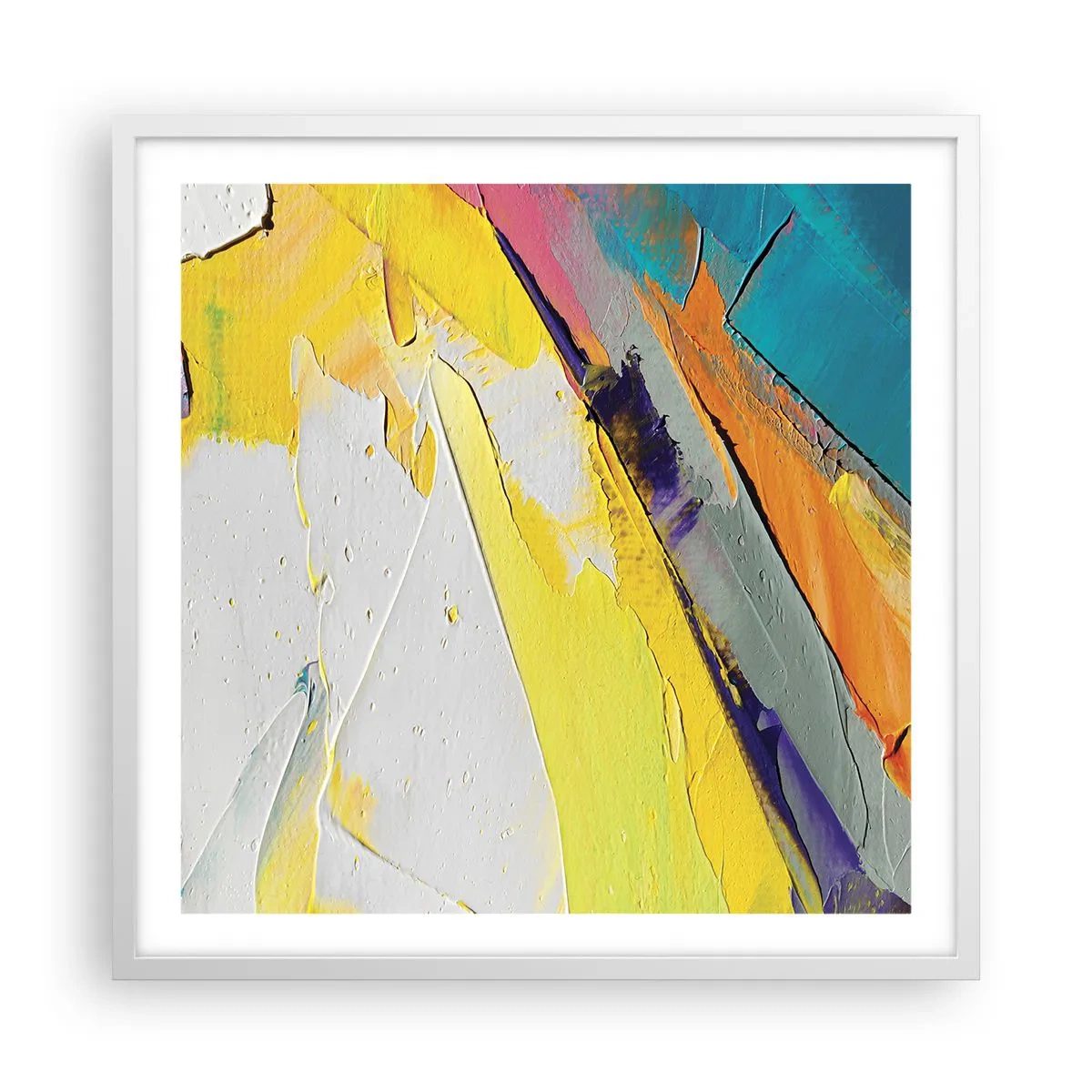 Affisch i vit ram - Världens anatomi - 60x60 cm