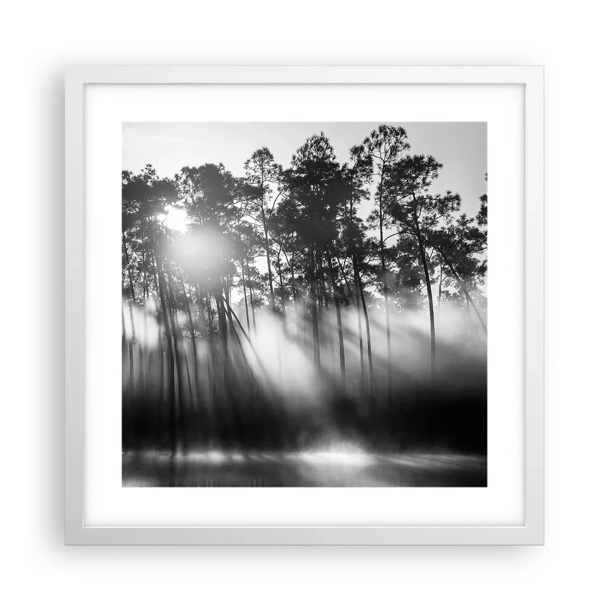 Affisch i vit ram - Ostoppad sol - 40x40 cm