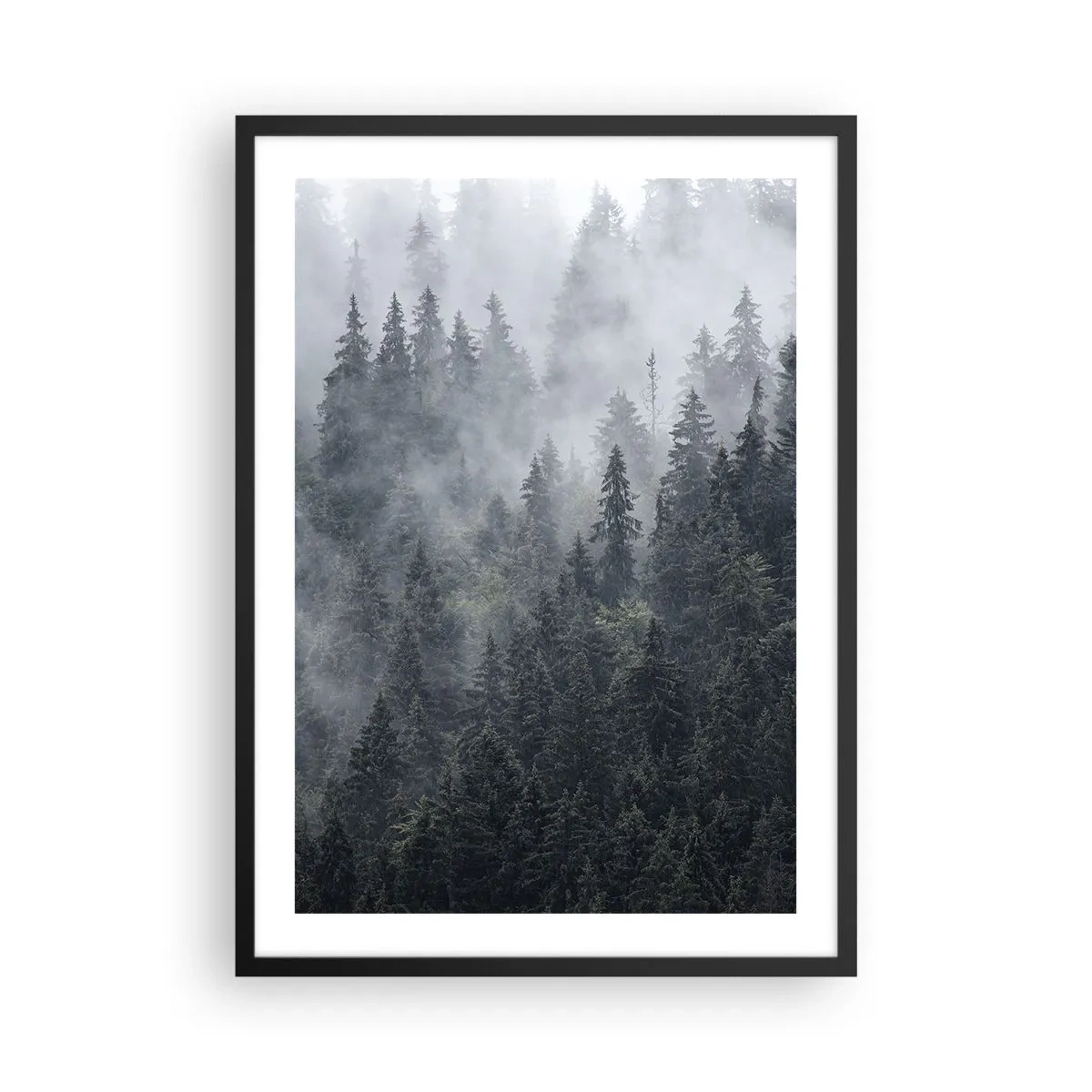 Affisch i svart ram - En dimmig skog med höga barrträd - 50x70cm - Gryning i skogen - Modern väggdekoration för vardagsrum och sovrum ARTTOR