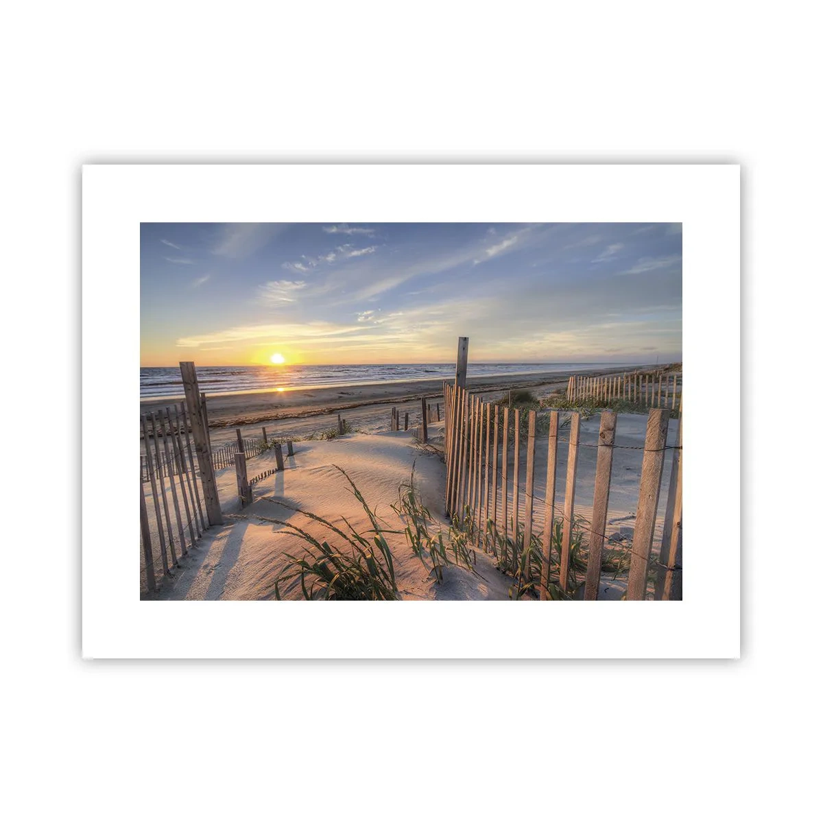 Affisch - Vindens sken och skugga - 40x30 cm