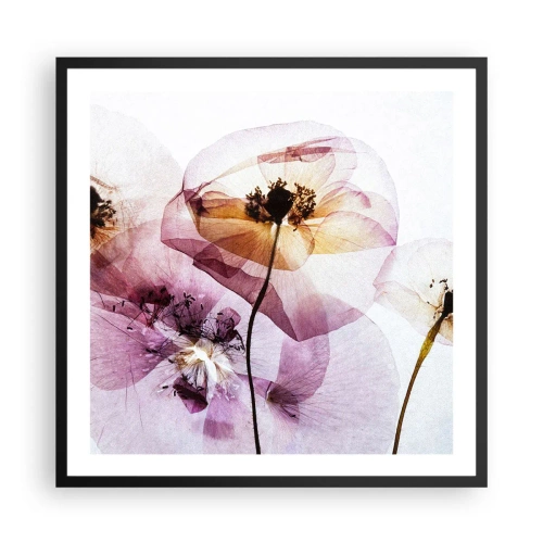 Affisch i svart ram - Blommornas transparenta kroppar - 60x60 cm