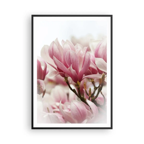 Affisch i svart ram - Vårblommor - 70x100 cm