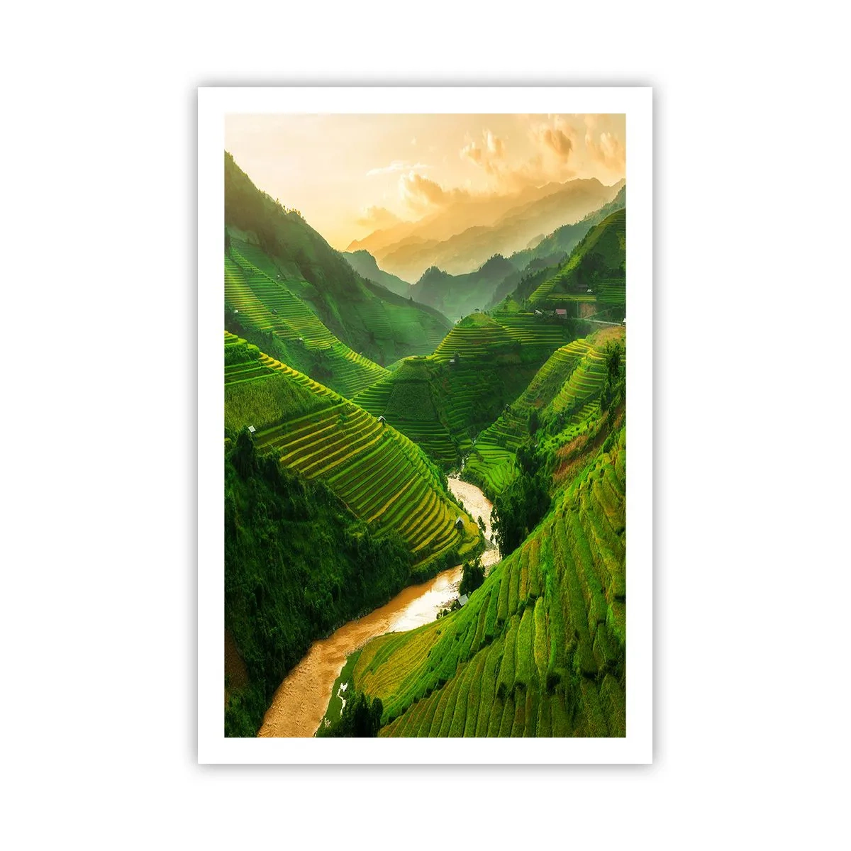 Affisch - Vietnamesisk dal - 61x91 cm