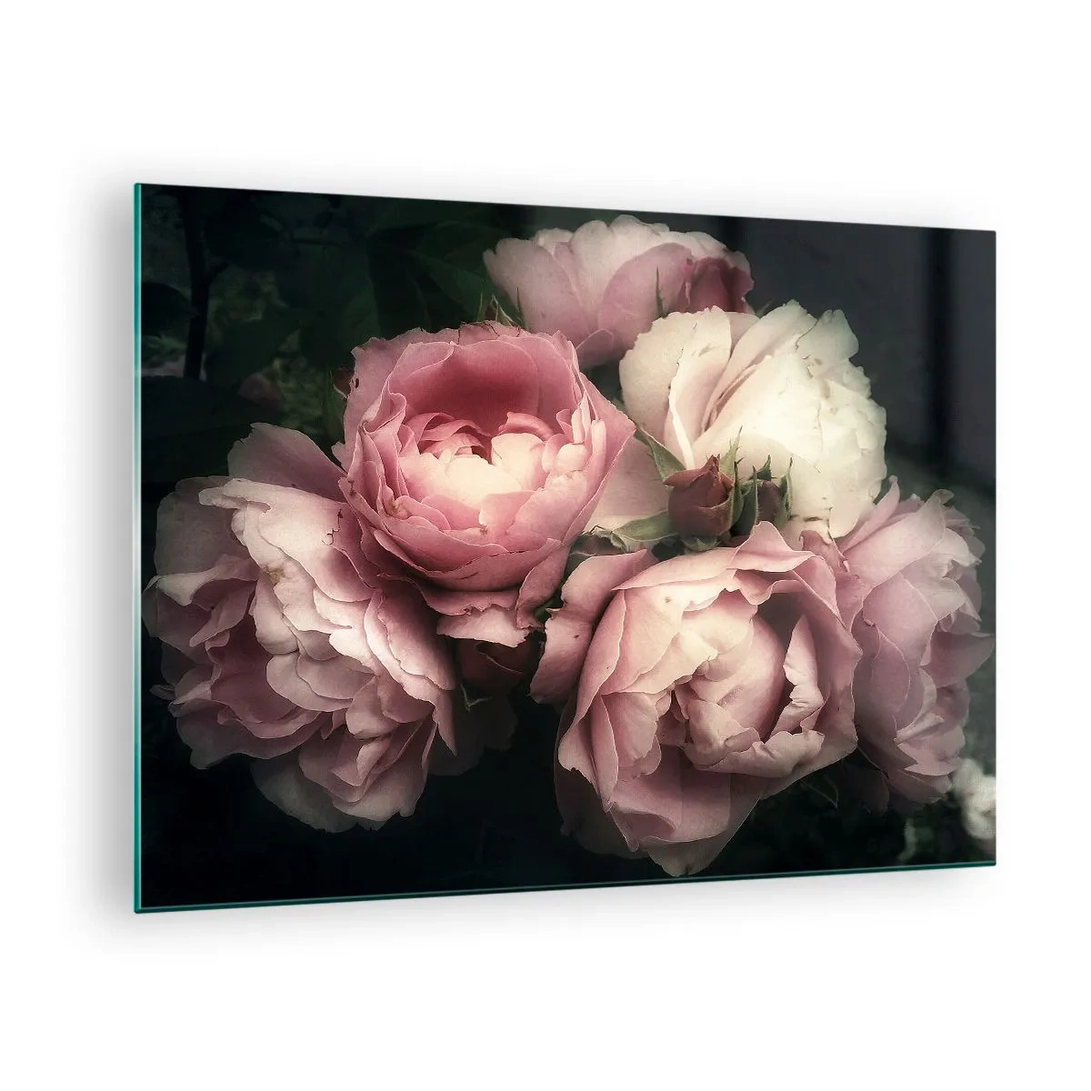 Glastavla - Bild på glas - En bukett rosa rosor i mjukt ljus med en vintage-touch - 70x50cm - Belle epoque charm - Modern väggdekoration för vardagsrum och sovrum ARTTOR