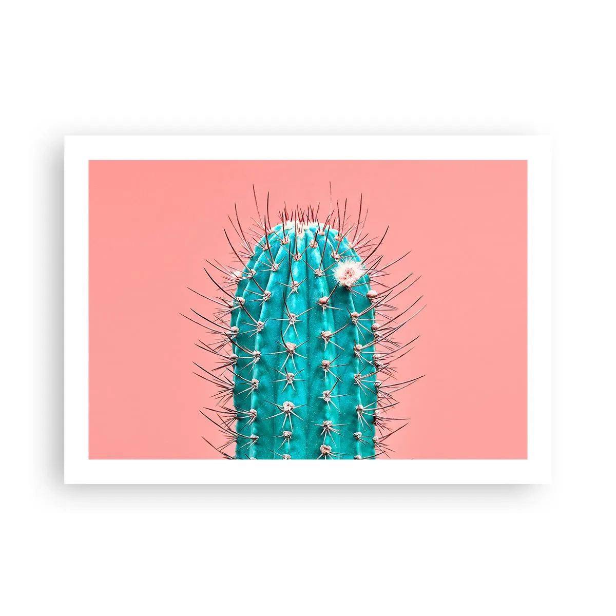 Affisch - Titta bara - 70x50 cm