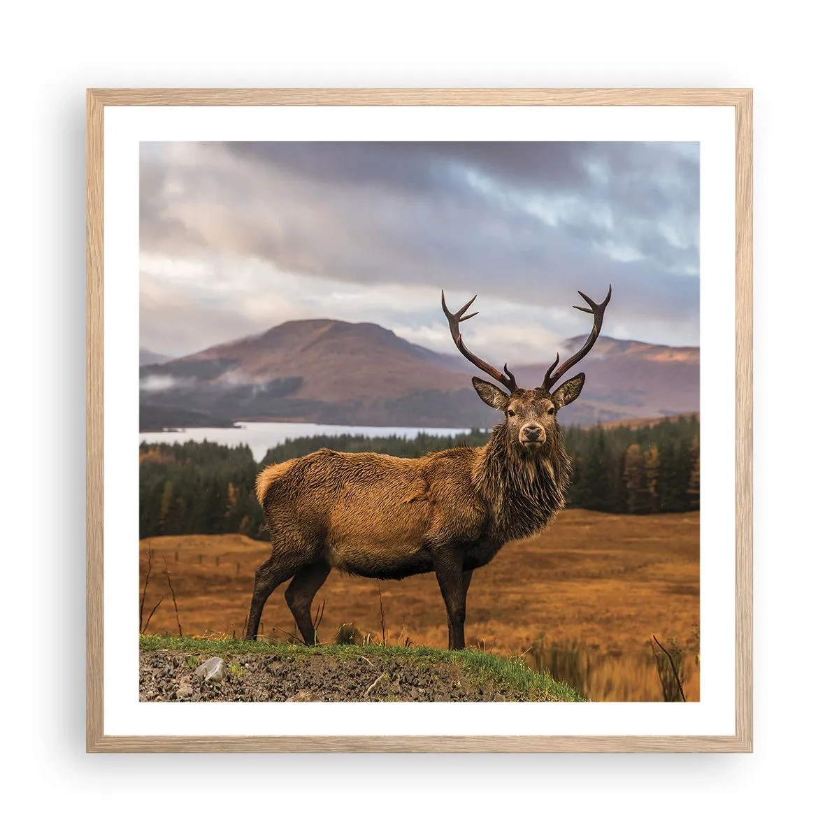 Affisch i ram av ljusek - Naturens majestät - 60x60 cm