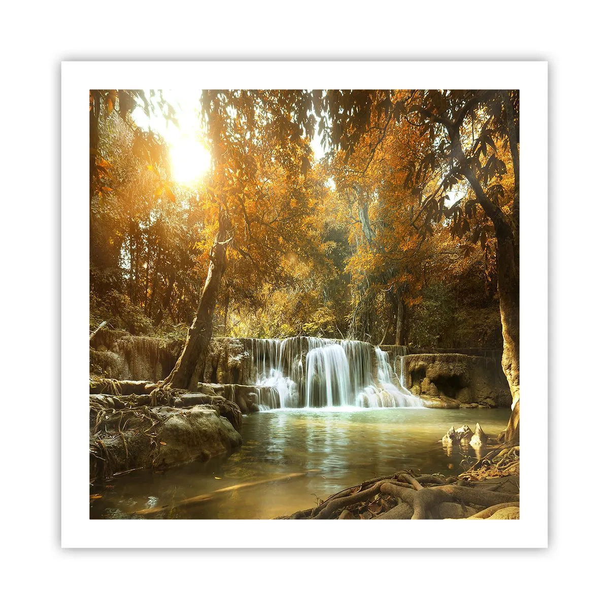 Affisch - Parkkaskad - 60x60 cm