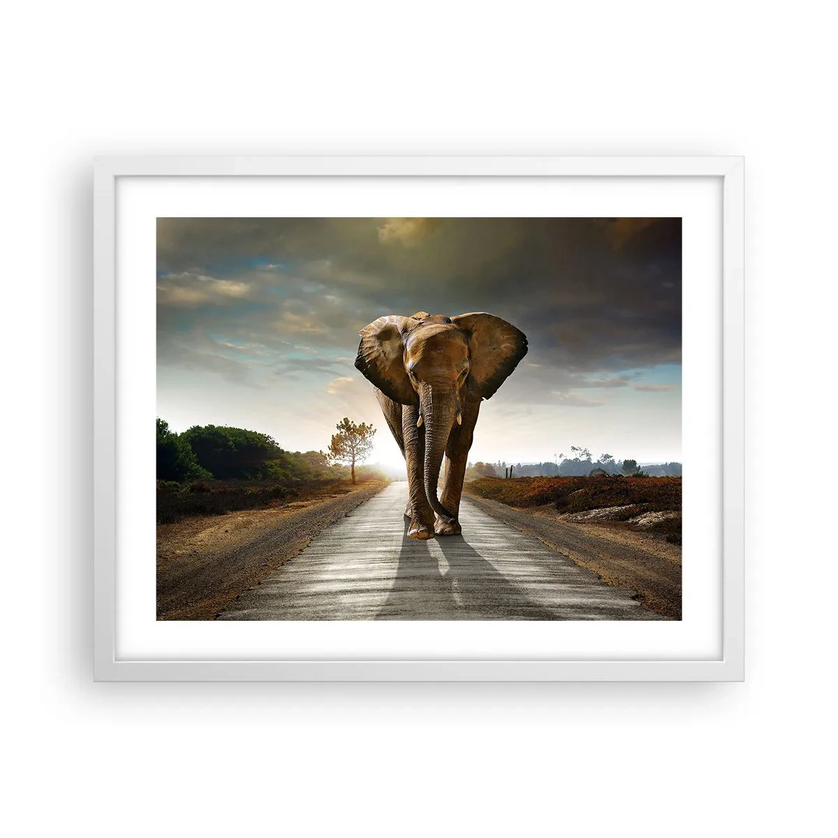 Affisch i vit ram - Inte alls i en porslinsbutik - 50x40 cm