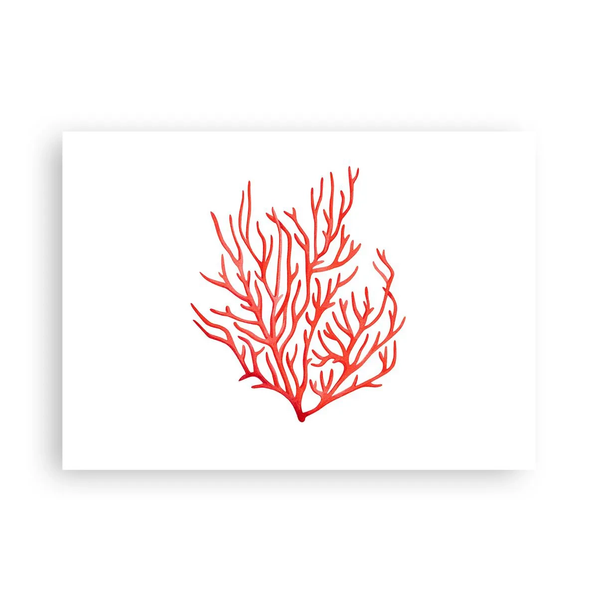 Affisch - Filigran av korall - 70x50 cm