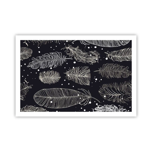 Affisch - Fjäderspets - 91x61 cm