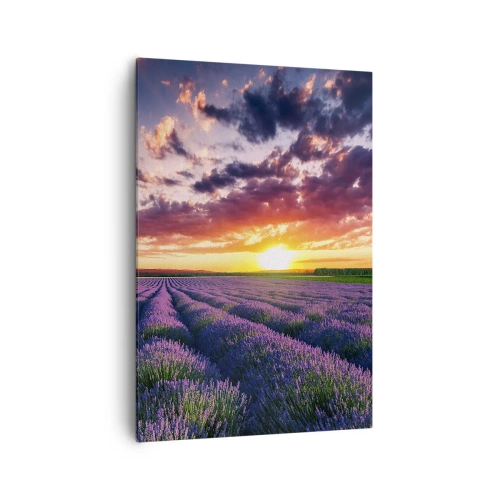Canvastavla - Bild på duk - Lavandelvärld - 70x100 cm
