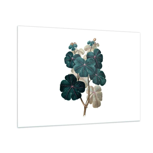 Glastavla - Bild på glas - Från ett gammalt herbarium - 100x70 cm
