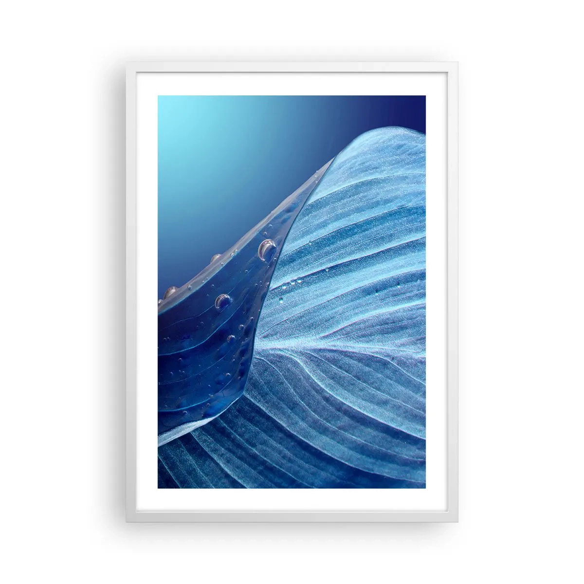 Affisch i vit ram - Dolda droppar av blått - 50x70 cm