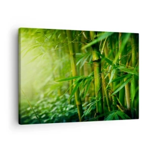 Canvastavla - Bild på duk - Grön bambuskog i mjukt ljus - 70x50cm - Lär känna grönskan i sig - Modern väggdekoration för vardagsrum och sovrum ARTTOR
