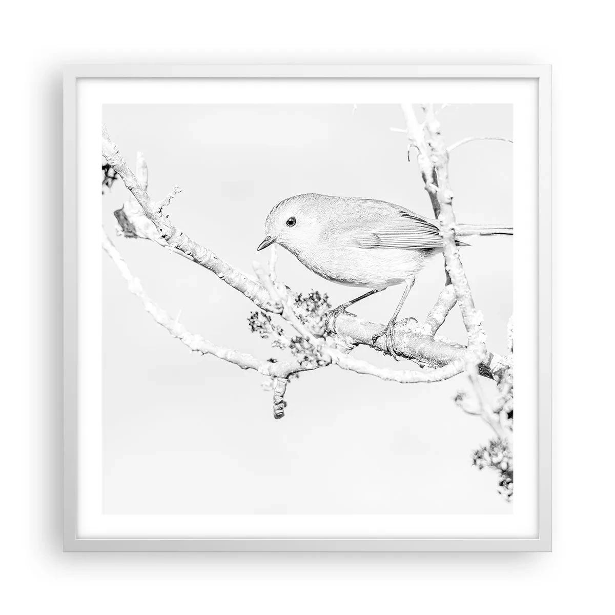 Affisch i vit ram - Vintermorgon - 60x60 cm