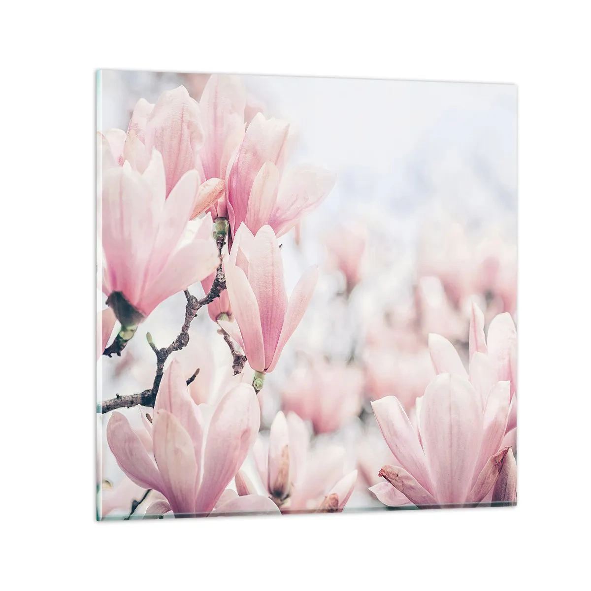 Glastavla - Bild på glas - Perfekt subtilitet - 70x70 cm