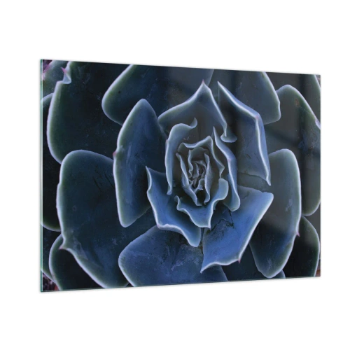 Glastavla - Bild på glas - Öknens blomma - 100x70 cm
