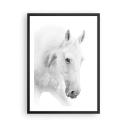 Affisch i svart ram - Porträtt av en vit häst i minimalistisk stil - 50x70cm - Är det vänskap…? - Modern väggdekoration för vardagsrum och sovrum ARTTOR