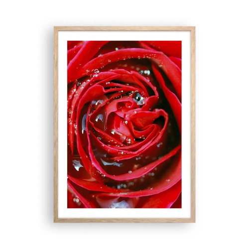Affisch i ram av ljusek - Daggdroppar - 50x70 cm
