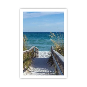 Affisch - I solen, i vinden - 61x91 cm