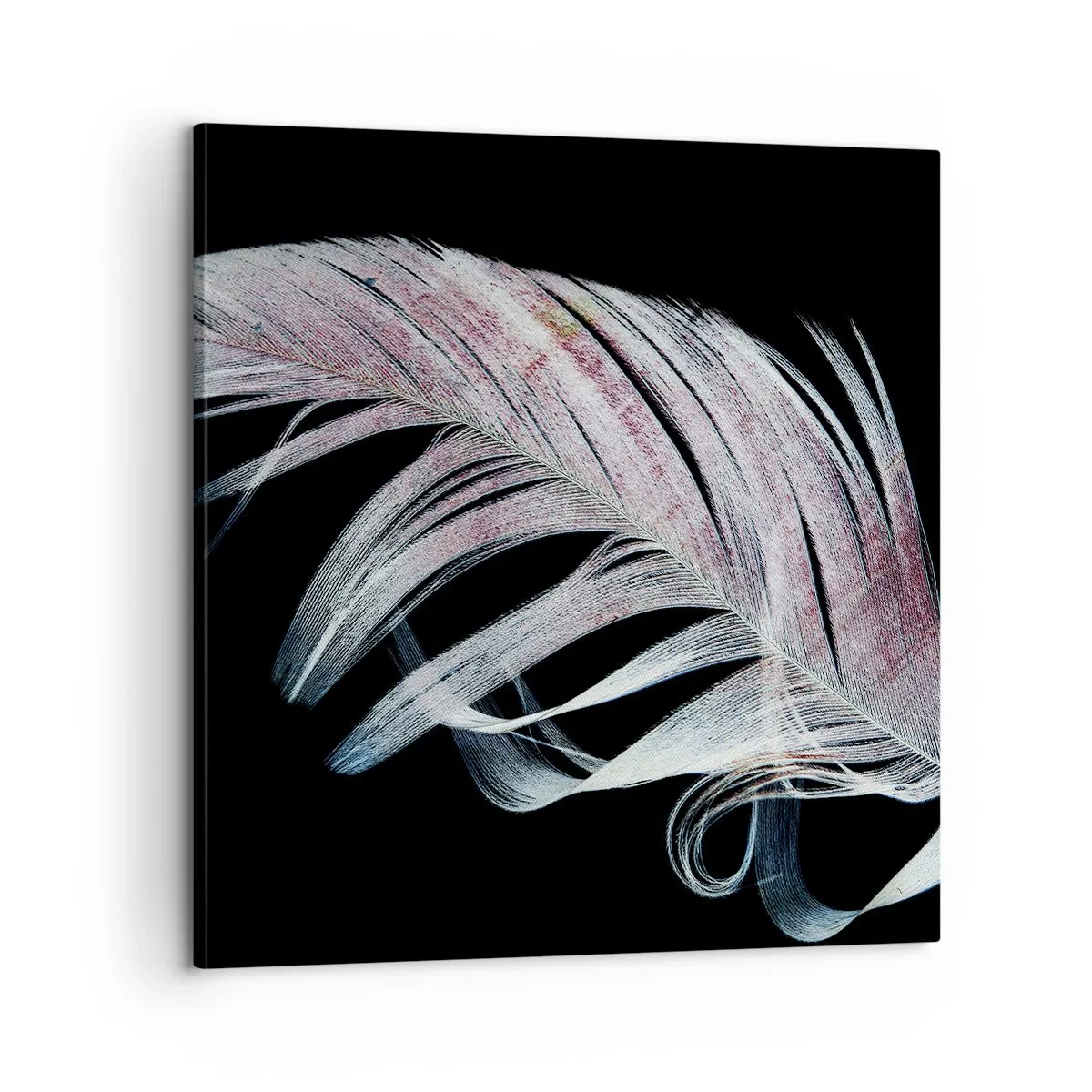 Canvastavla - Bild på duk - Tänk på smekning - 60x60 cm