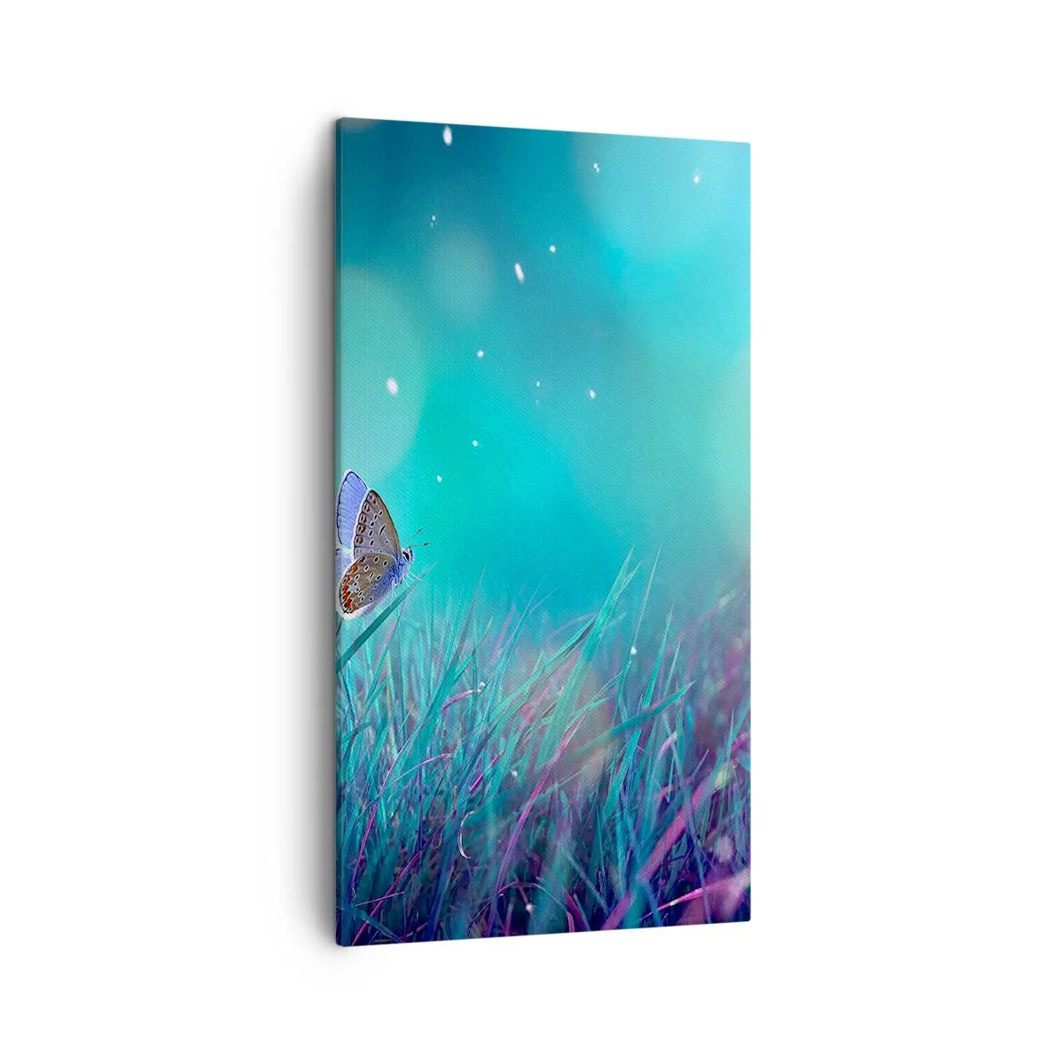 Canvastavla - Bild på duk - Ängens hemliga liv - 45x80 cm
