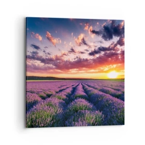 Canvastavla - Bild på duk - Lavandelvärld - 70x70 cm